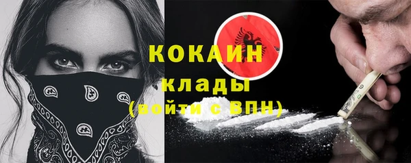 индика Верея